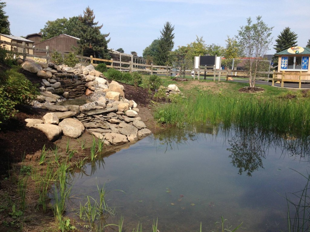 A variety of green installations allow the capture of nearly all the rain that falls on the local Rosamond Gifford Zoo. (Madison Quinn/Save the Rain)